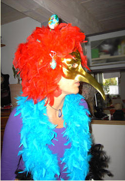 Bibo der Zaubervogel